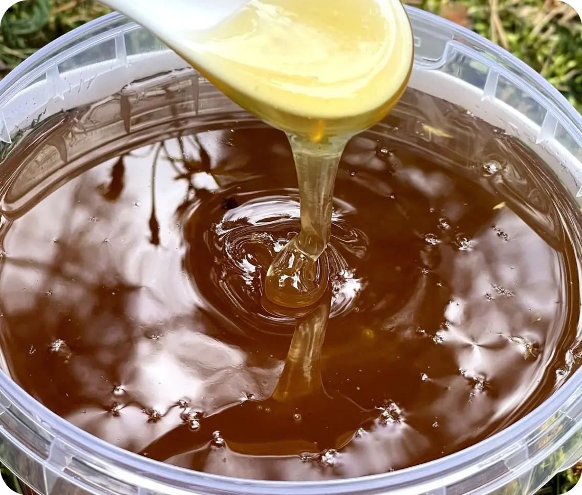 Pure Honey
